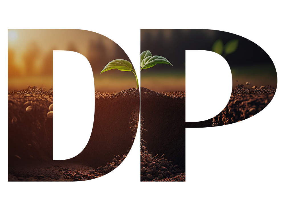 DP at a Glance