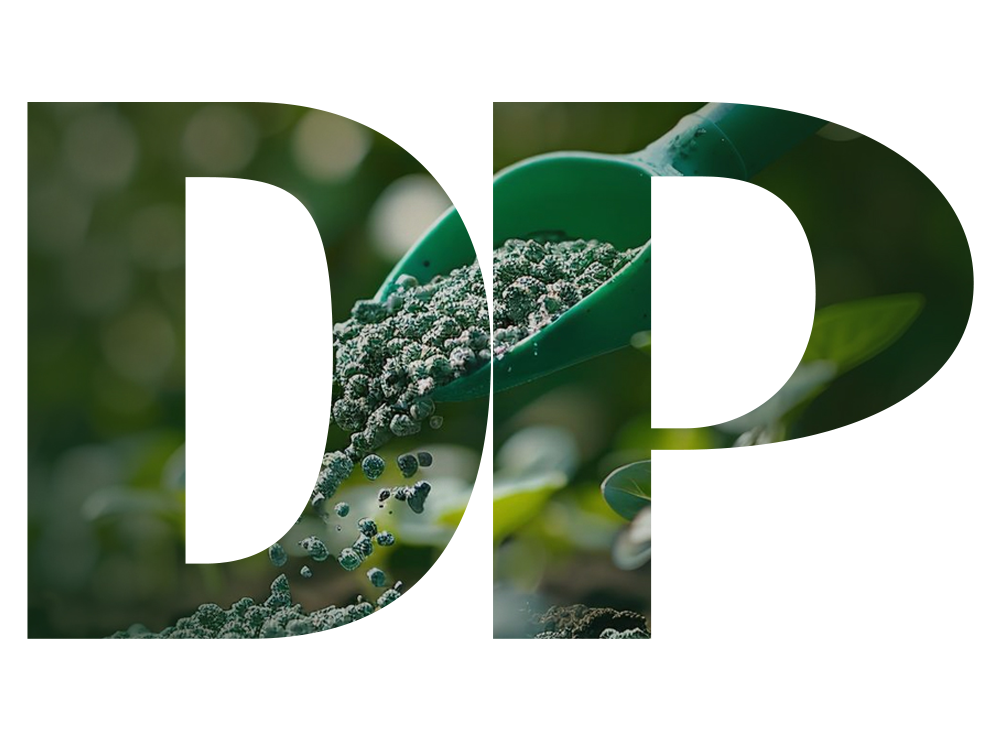 DP at a Glance